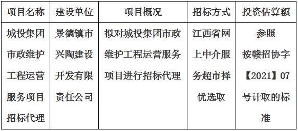 城投集團(tuán)市政維護(hù)工程運(yùn)營服務(wù)項目招標(biāo)代理計劃公告