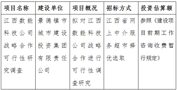 江西數(shù)能科技公司戰(zhàn)略合作可行性研究調(diào)查計劃公告