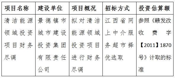 清潔能源領(lǐng)域投資項(xiàng)目財(cái)務(wù)盡調(diào)計(jì)劃公告