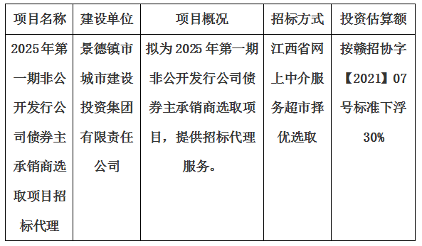 2025年第一期非公開發(fā)行公司債券主承銷商選取項目招標代理計劃公告